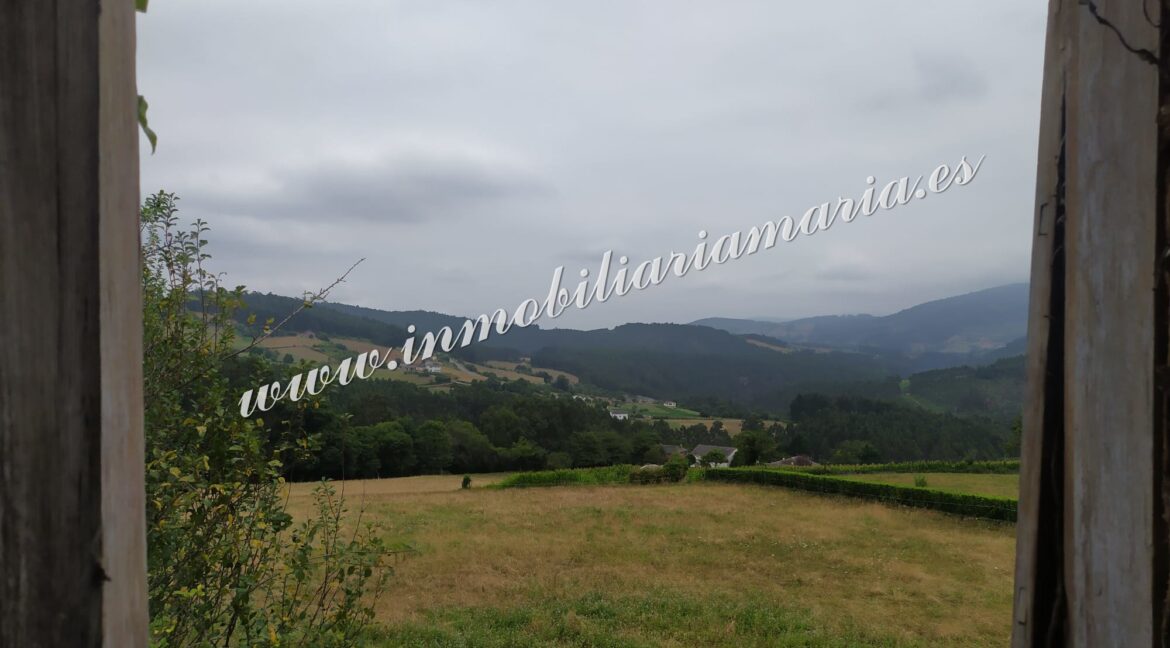 WhatsApp Image 2025-08-08 at 22.13.34 (4)