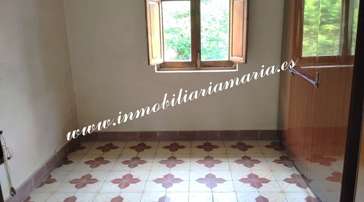 WhatsApp Image 2026-06-08 at 11.00.13