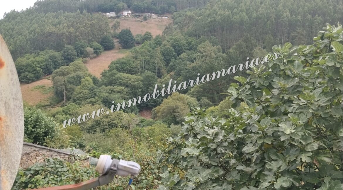 WhatsApp Image 2026-08-17 at 20.00.41 (1)